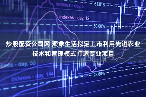 炒股配资公司网 聚象生活拟定上市利用先进农业技术和管理模式打造专业项目